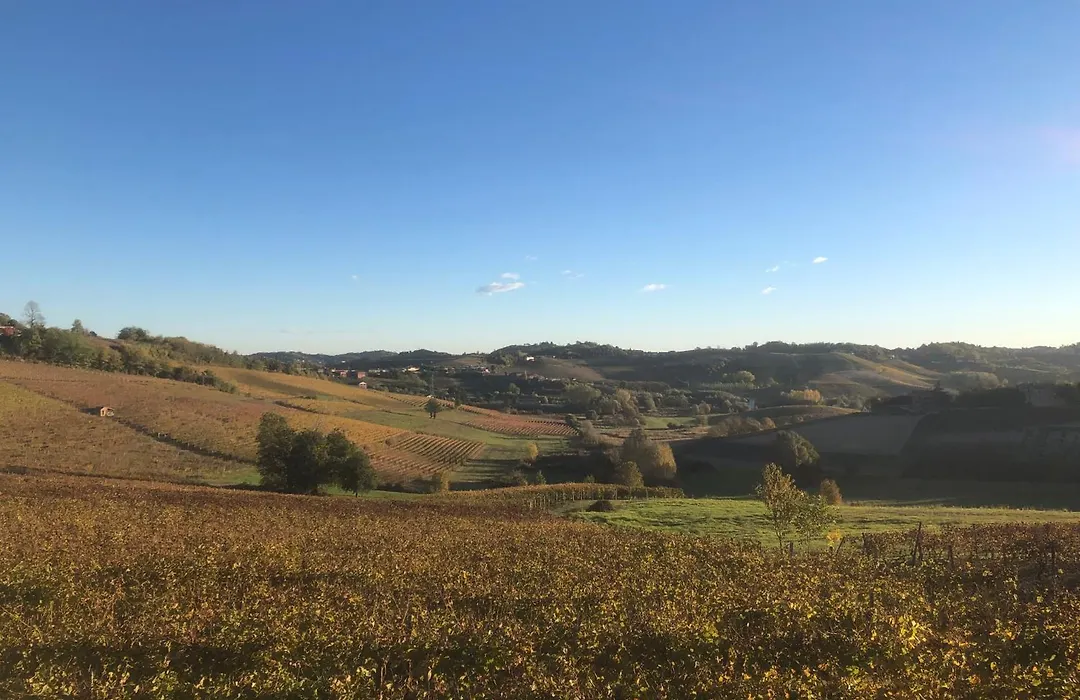Piemonte Country House, Public Pool Is 3 Min Away-1